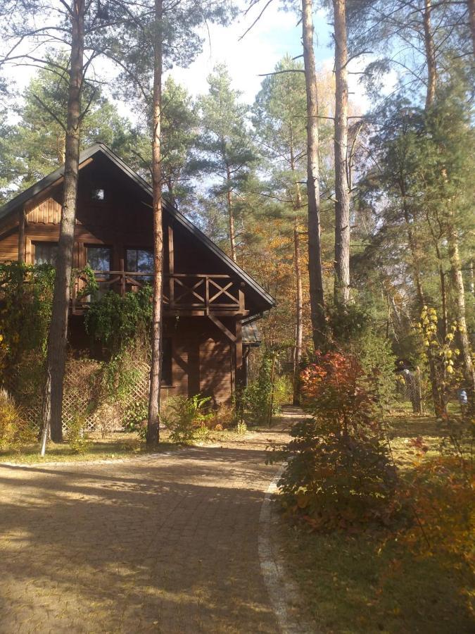 Vila Lesna Ostoja Nad Pilica Lechanice Exteriér fotografie