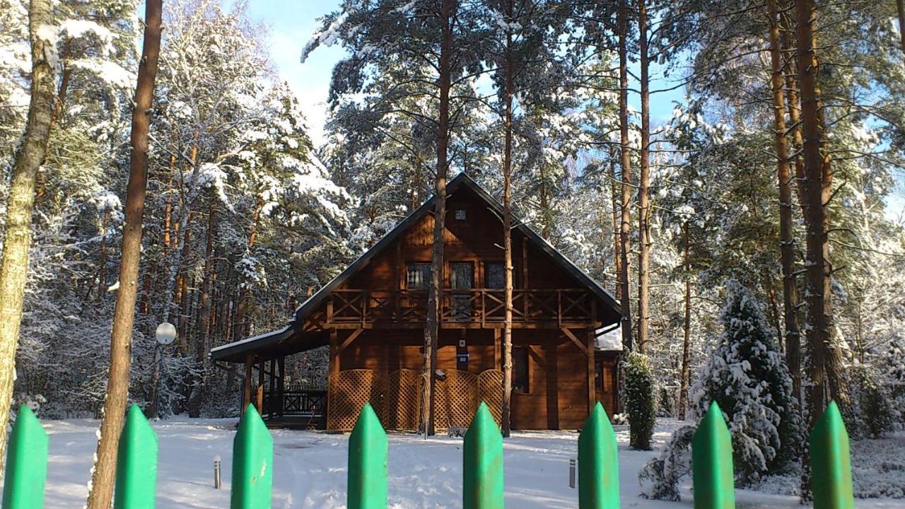 Vila Lesna Ostoja Nad Pilica Lechanice Exteriér fotografie