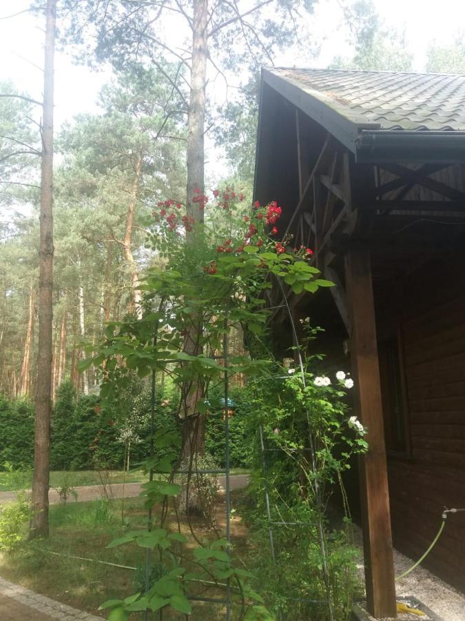 Vila Lesna Ostoja Nad Pilica Lechanice Exteriér fotografie