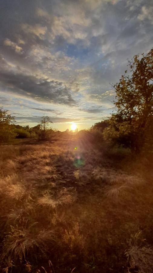 Vila Lesna Ostoja Nad Pilica Lechanice Exteriér fotografie
