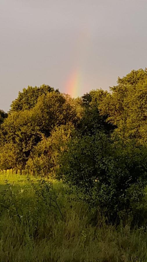 Vila Lesna Ostoja Nad Pilica Lechanice Exteriér fotografie