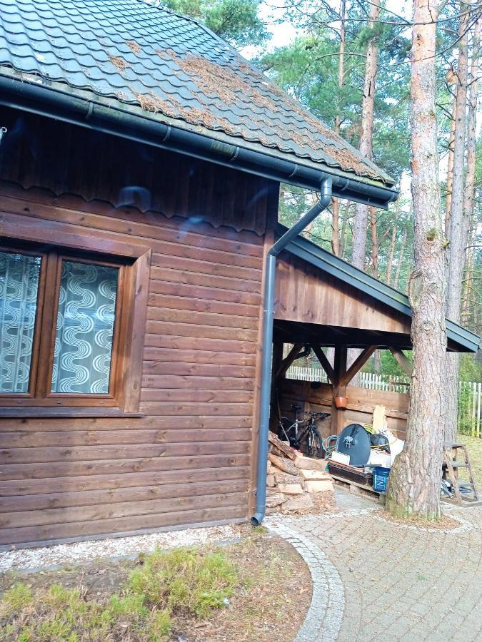 Vila Lesna Ostoja Nad Pilica Lechanice Exteriér fotografie