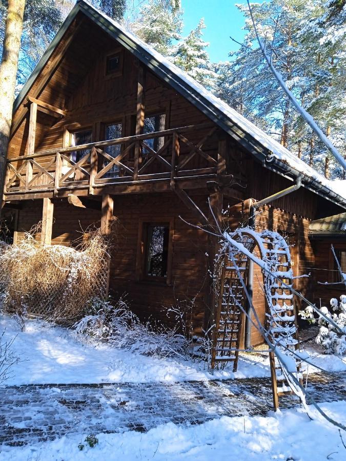 Vila Lesna Ostoja Nad Pilica Lechanice Exteriér fotografie