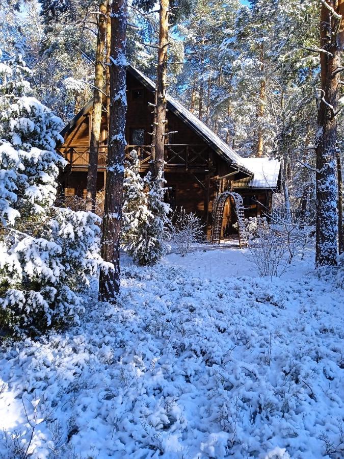 Vila Lesna Ostoja Nad Pilica Lechanice Exteriér fotografie