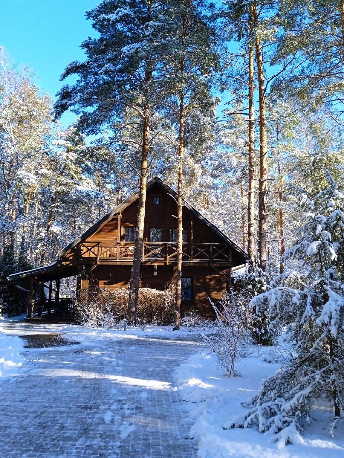 Vila Lesna Ostoja Nad Pilica Lechanice Exteriér fotografie