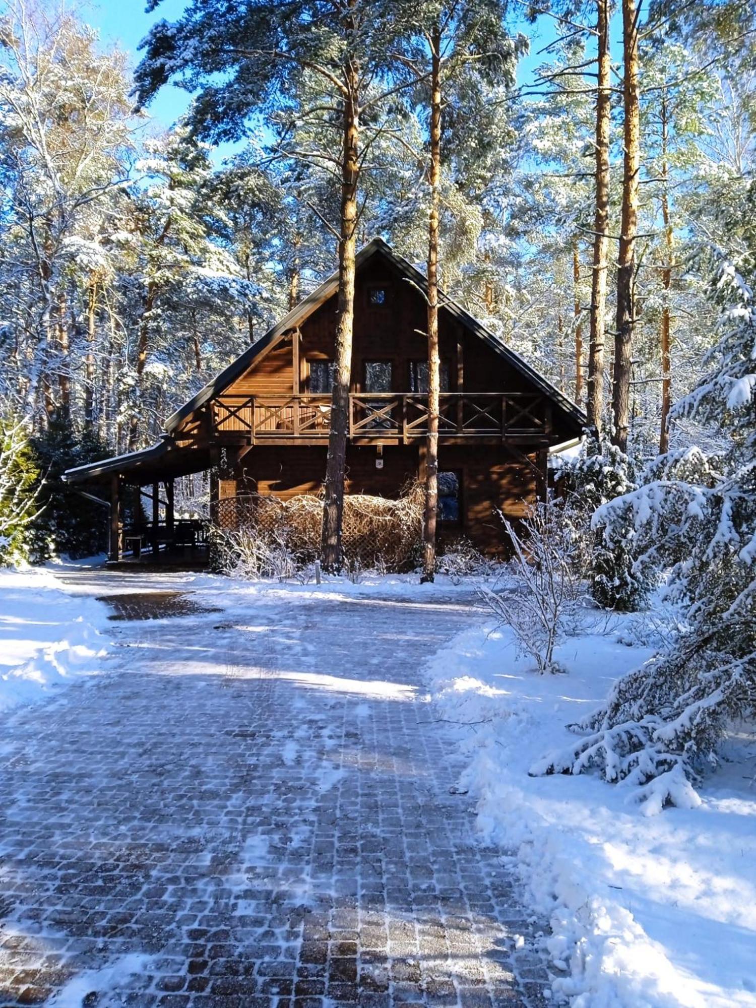 Vila Lesna Ostoja Nad Pilica Lechanice Exteriér fotografie